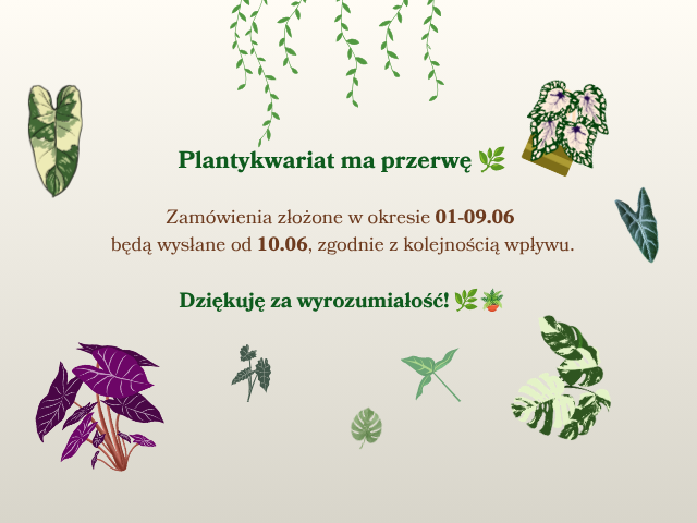 przerwa
